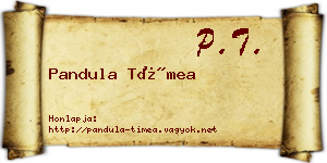 Pandula Tímea névjegykártya