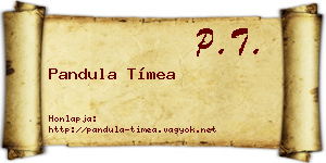 Pandula Tímea névjegykártya